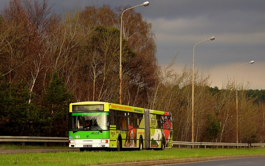 Jelcz M181M #161