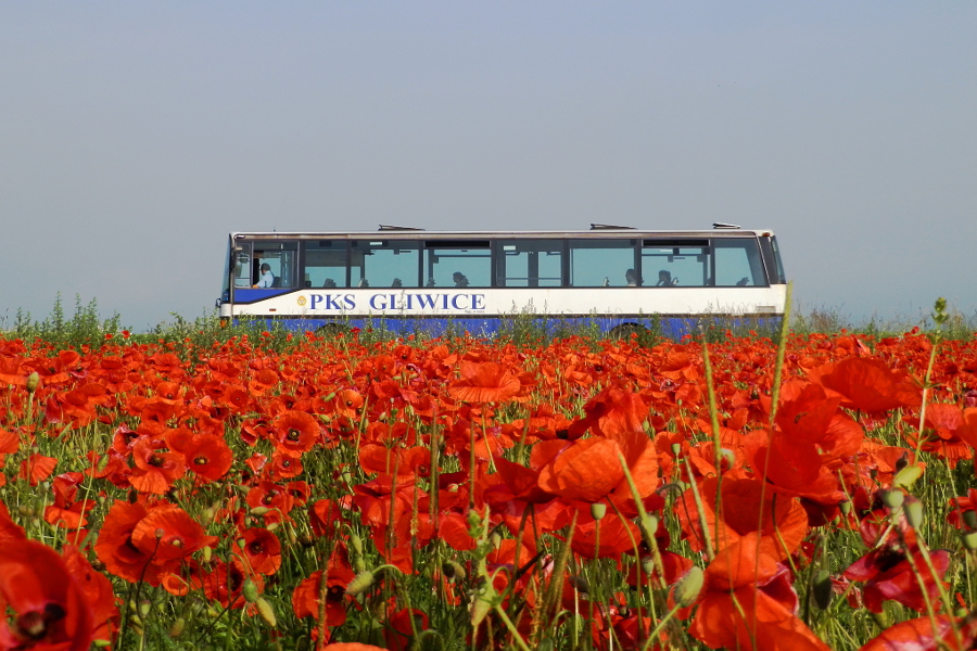 Setra S215 UL #SG 3853G