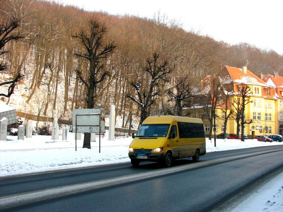 Mercedes-Benz 313CDI Sprinter #DB 50891