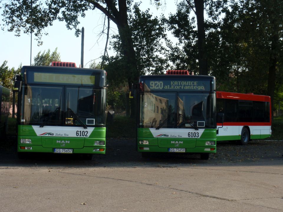 MAN NG313 #Z40113
