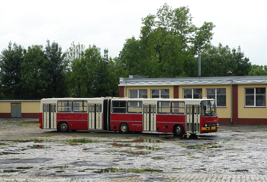 Ikarus 280.26 #142