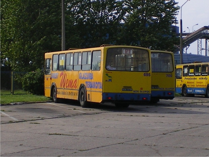 Jelcz M11 #695