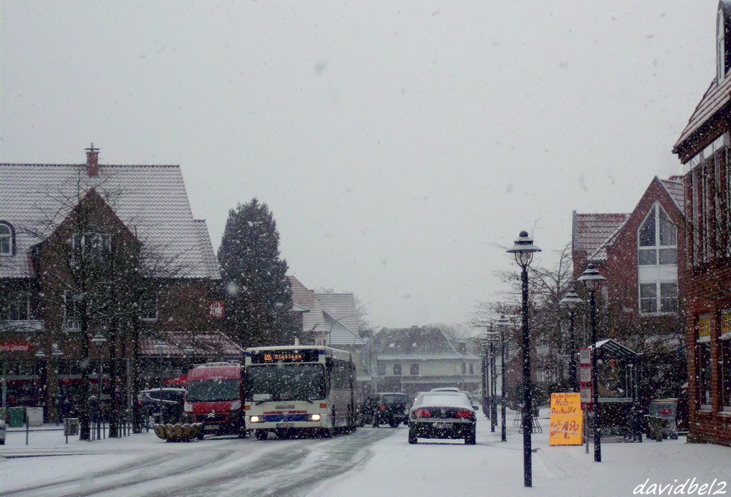 Mercedes-Benz O405G #VEC-SL 11