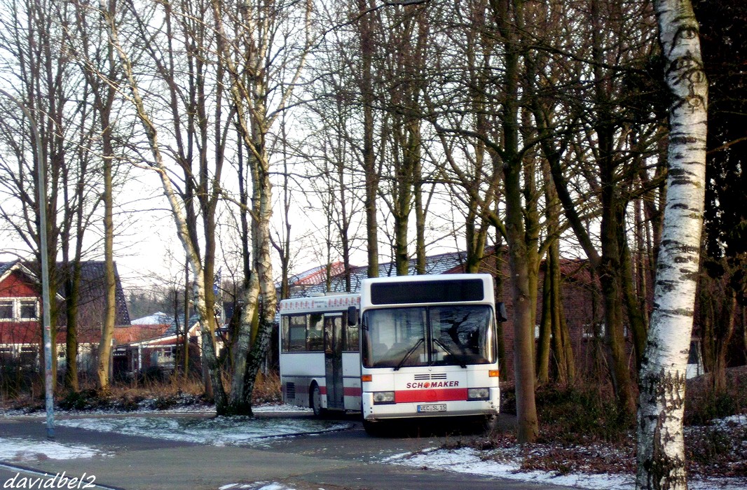 Mercedes-Benz O405G #VEC-SL 15