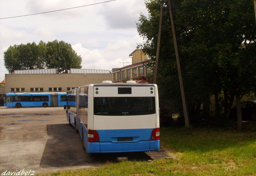 MAN NG313 Lion's City G #?