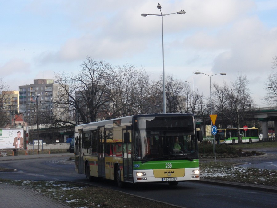 MAN NL313 #239