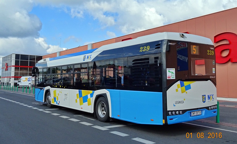 Solaris Urbino 12 #239