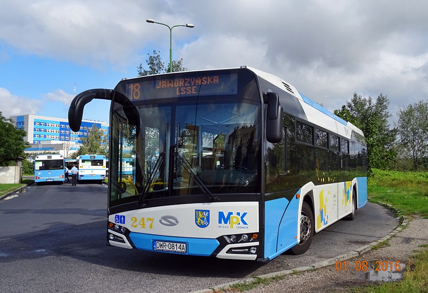 Solaris Urbino 12 #247