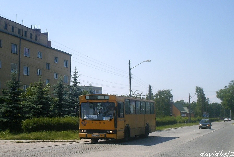 Jelcz M11 #28