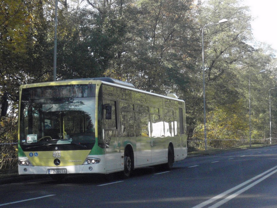 Mercedes-Benz Conecto LF #403