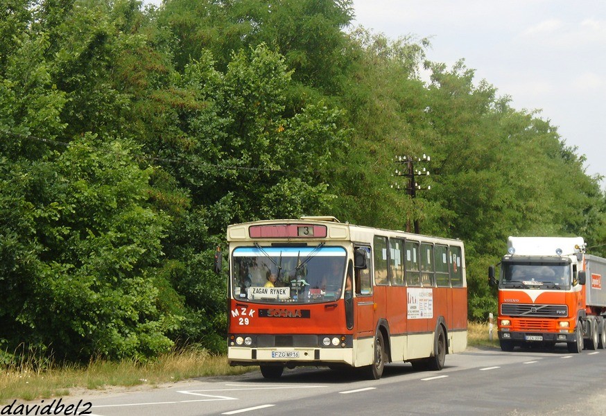 Jelcz M11 #29