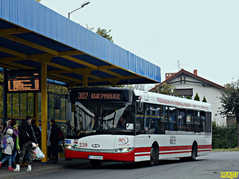Solaris Urbino III 12 #239