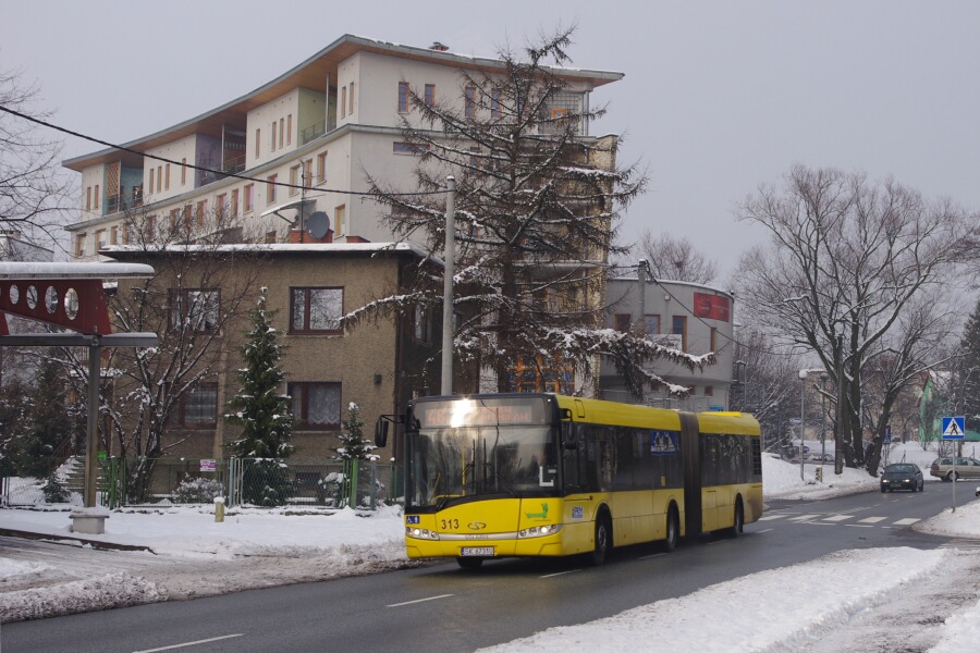 Solaris Urbino 18 #313