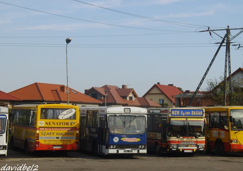 Jelcz M11 #32