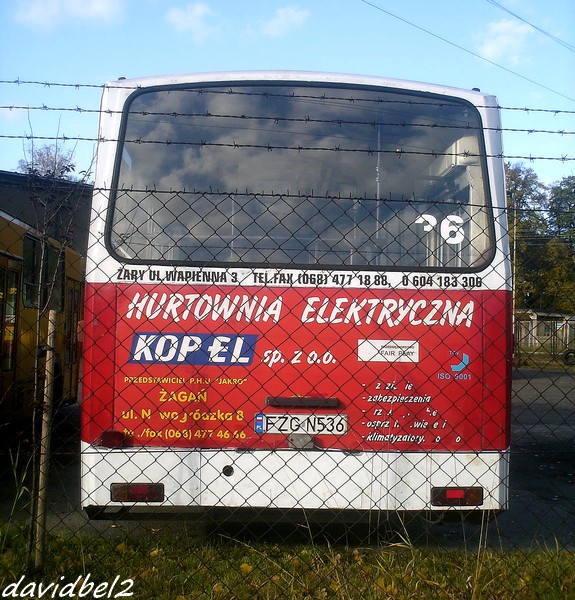 Jelcz M11 #36
