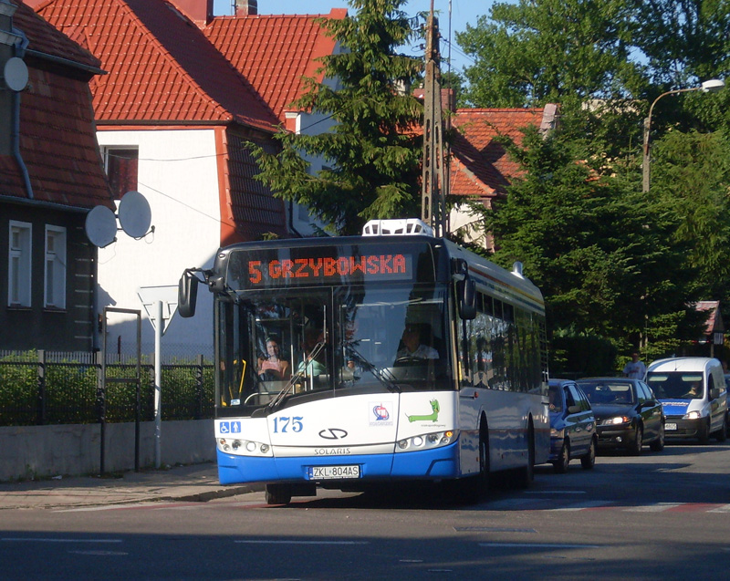 Solaris Urbino 12 #175