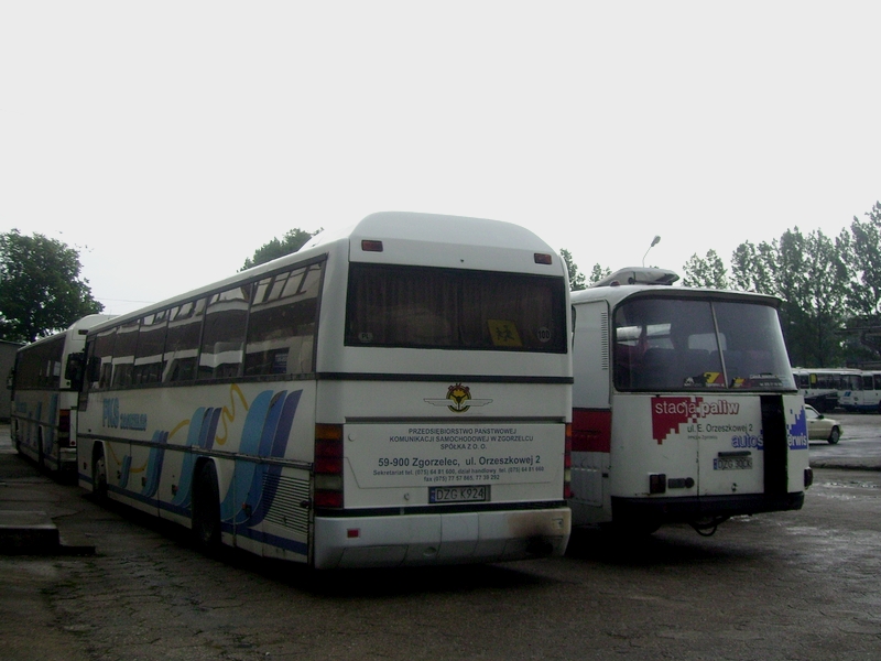 Neoplan N316 K #DZG K924