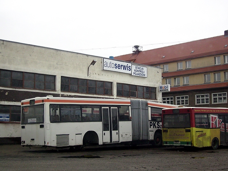 MAN SG242 #DZG 50FP