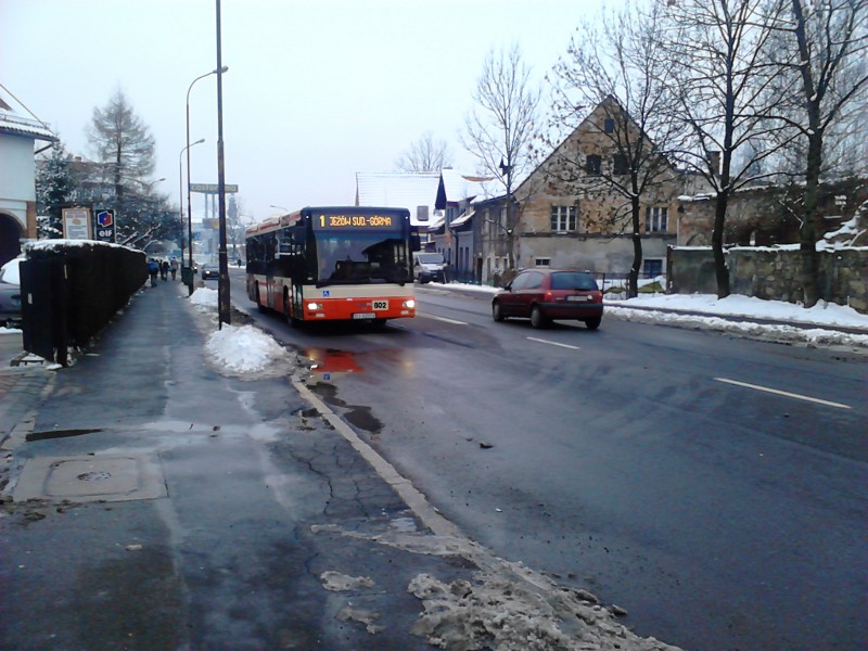 MAN NL263 #802