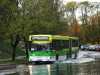 Jelcz M181M #161 Jelcz M181M #161