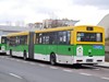 Jelcz M181M #163