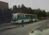 Ikarus 280.26 #447