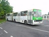 Ikarus 280.26 #503