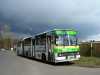 Ikarus 280.26 #504 Ikarus 280.26 #504