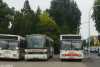 Setra SG219 SL #VEC-SL 113 Setra SG219 SL #VEC-SL 113