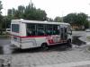 Jelcz L081MB #DOA CO11