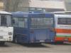Mercedes-Benz O407 #Z00307