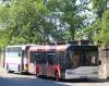 Solaris Urbino 12 #96