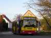 Jelcz M121M #9561 Jelcz M121M #9561