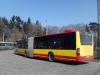 Mercedes O530G Citaro G #8316 Mercedes O530G Citaro G #8316