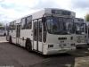 Jelcz 120M #434 Jelcz 120M #434