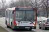 Ikarus 412.08A #81