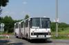 Ikarus 280.26 #351