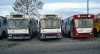 Jelcz M11 #22 Jelcz M11 #22