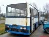 Ikarus 280.26 #50078