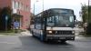 Setra S215 UL #50172 Setra S215 UL #50172