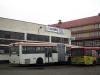 MAN SG242 #DZG 50FP MAN SG242 #DZG 50FP
