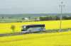 Setra S517 HD #80